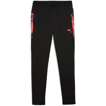 Puma IndividualCUP Trainingshose Herren 07 black L