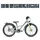 S'COOL XXlite SL 20 Zoll RH 31 cm grau/grün