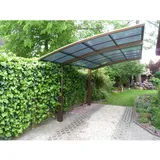 ETS Dienstleistungs und Handels GmbH alt/neu 88424 EB Ximax Carport »Portoforte«, Typ 60 555 x 240 cm-bronze