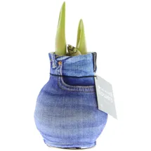 EXOTENHERZ Amaryllis-Zwiebel in moderner Socke Fashion Streetlife Jeans-Optik