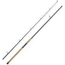 WFT Pilkrute, (2-tlg), WFT Charisma Power II LTC 2,40m 180-620g Bootsrute 2.4 m