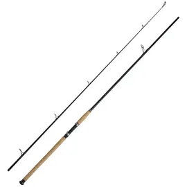WFT Pilkrute, (2-tlg), WFT Charisma Power II LTC 2,40m 180-620g Bootsrute 2.4 m