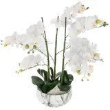 Atmosphera - Künstliche Orchidee - marmorierter Topf H65 cm - Weiß