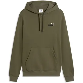 Puma Hoodie Loden Green S