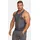 Gold's Gym Golds GYM Tanktop WILT in castlerock | Gr.: L
