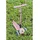 GLOBBER Primo Foldable Lights Eco Beere