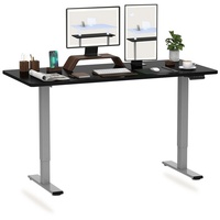 FLEXISPOT Schreibtisch EB2-SET, Höhenverstellbarer Schreibtisch, Dual-Motor & 2-FACH-TELESKOP grau 140 cm x 80 cm