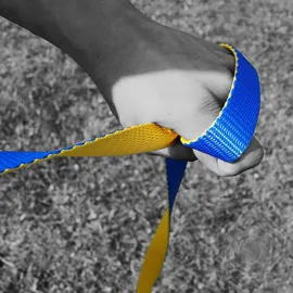 Gibbon Flow Line Slackline