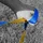 Gibbon Flow Line Slackline