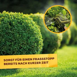 Solabiol Zünsler- & Raupenfrei Insektizid 15 ml