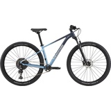 Cannondale Trail SL 3 Grau Modell 2024