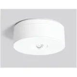 RZB LED-Sicherheitsleuchte 8h 672527.002.F1