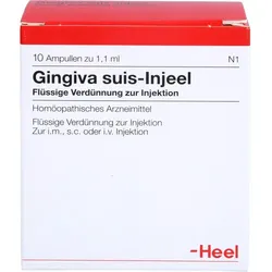 GINGIVA SUIS Injeel Ampullen 10 St.