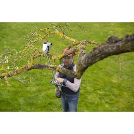 Ikra mogatec IKRA BOSCH 36V Akku Multitool IB-MT 36 Freischneider, Trimmer, Heckenschere & Entaster