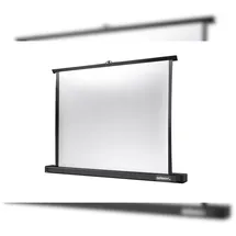 Celexon Professional Mini Screen 81x61cm 4:3