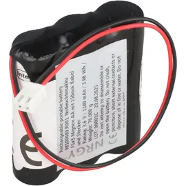 AccuCell Notleuchtenakku AA 1100 mAh 1 St.