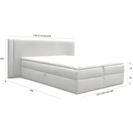 Fun Möbel Boxspringbett Schlafzimmerbett CEDRIC 180x200cm Stoff Magic Velvet Hellgrau - Grau