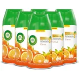 Airwick Air Wick Freshmatic Max Raumspray – Nachfüller für den Air Wick Freshmatic Max – Duft: Citrus – 6 x 250 ml Nachfüller