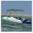 vidaXL Sonnenschutz 4-Bow Bimini-Top 243 x 210 x 137 cm Grau