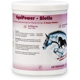 Vetripharm EquiPower - Biotin 750 g