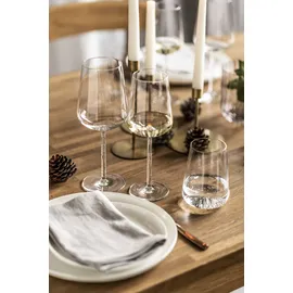 Schott Zwiesel 4er Set ZWIESEL GLAS Wasserglas Vervino 490 ml Kristall, Kristalloptik Transparent Klar