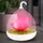 GLOBO Tischleuchte Pink 2 St.