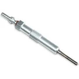 BorgWarner (Beru) (BERU) Glühkerze GN062