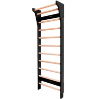 Fitwood Upplyft Wallbar Sprossenwand (Schwarz Birke)