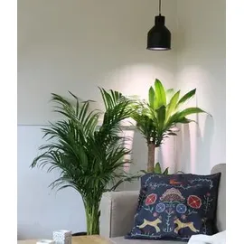 Venso SAGA Lampenschirm Schwarz