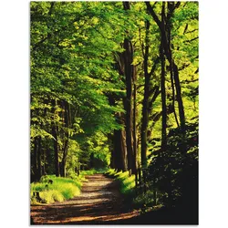 Wandbild ARTLAND "Weg im Wald", grün (farbe bild(er): grün), B:60cm H:80cm, Bilder, als Alubild, Outdoorbild, Leinwandbild, Poster in verschied. Größen