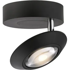 neuhaus pure Oculis (LED) 1, Ø 15cm H: 8cm schwarz