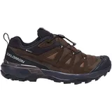 Salomon X Ultra 360 Ltr Goretex Wanderschuhe - Dark Earth / Delicioso / Sharkskin - EU 42