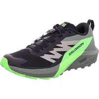 Salomon Sense Ride Herren Black/Laurel Wreath/Green Gecko 46 2/3