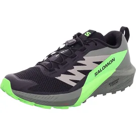 Salomon Sense Ride Herren Black/Laurel Wreath/Green Gecko 46 2/3