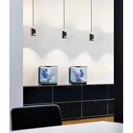 biOrb FLOW 30 MCR schwarz