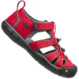 racing red/gargoyle 35