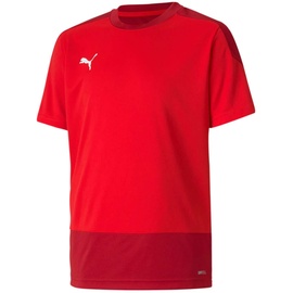 Puma Kinder teamGOAL 23 Training Jersey Jr T-shirt, Red-Chili Pepper, 116