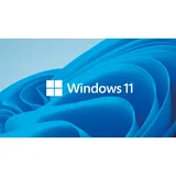 Microsoft Windows 11 Pro DVD DSP/SB EN