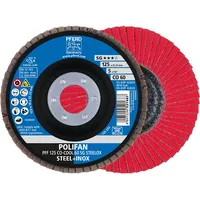 Pferd tools PFERD POLIFAN-Fächerscheiben PFF 125 CO-COOL 60 SG