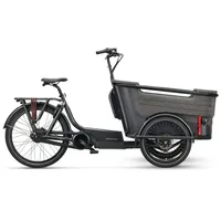 Batavus Fier-3 Env Schwarz Modell 2025 - 52 CM