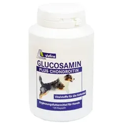 Glucosamin plus Chondroitin
