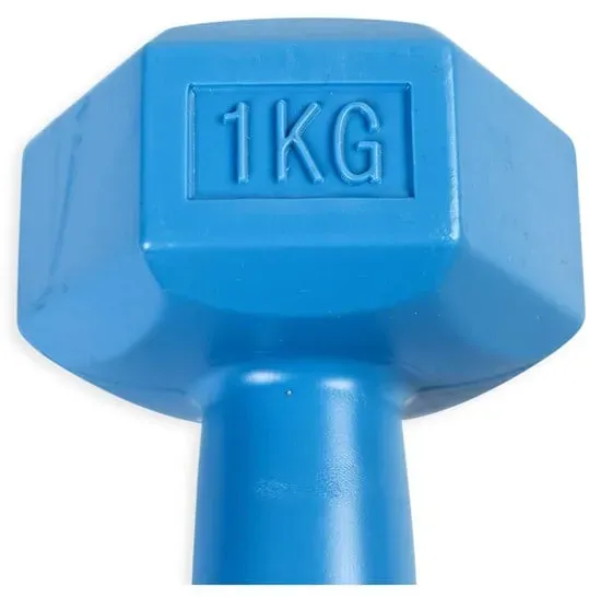 Handweight 1 kg vinyl