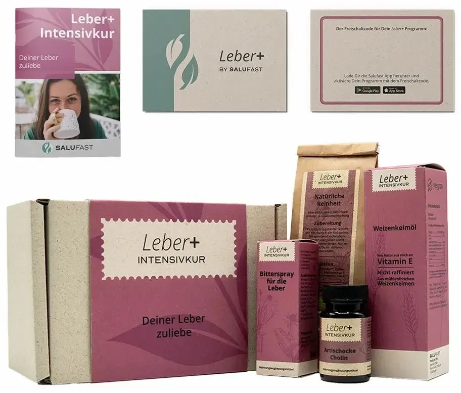 Salufast Leber+ Box - 14-Tage Intensivkur Kombipackung 1 St