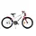 F.lli Schiano Bicycle Runner 20 Zoll Farbe rot