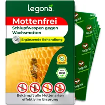 legona-de Schlupfwespen gegen Wachsmotten