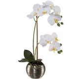 Orchidee weiß Kunststoff H: ca. 42 cm - weiß