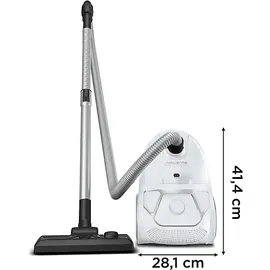 Rowenta RO3957 Compact Power Parkett Staubsauger, maximale Leistung: 900 Watt
