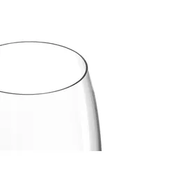 LEONARDO Daily Weißweingläser 6er Set transparent