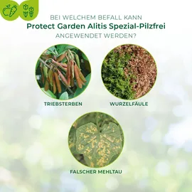 Protect Garden Alitis Spezial-Pilzfrei Konzentrat 40 g