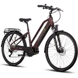 Trapez 28" RH 50 cm Damen bordeaux glänzend